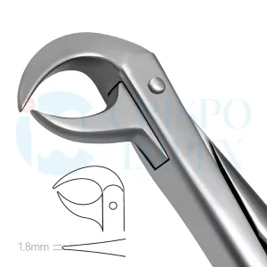 86A Extraction Forceps English Pattern