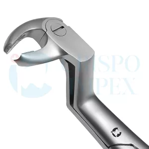 22 12L Extraction Forceps English Pattern
