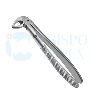33 Root Extraction Forceps English Pattern