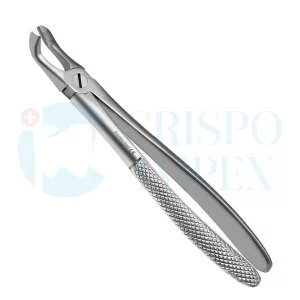 79 Extraction Forceps English Pattern