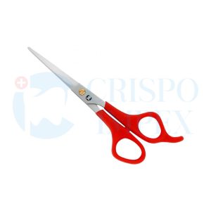 Plastic Handle Scissor